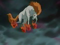 Entei, le dmon-cheval libr