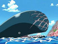 Le premier obstacle ? Laboon, la baleine géante !