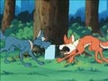 Episode 77
