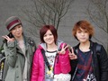 STEREOPONY